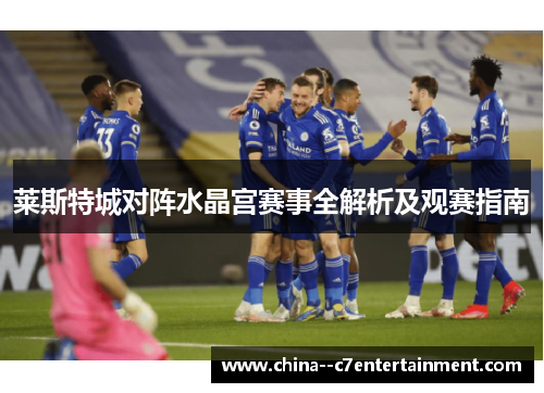 莱斯特城对阵水晶宫赛事全解析及观赛指南