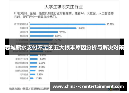 蓉城薪水支付不足的五大根本原因分析与解决对策 蓉城薪水支付不足的五大根本原因分析与解决对策
