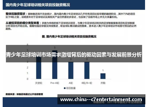 青少年足球培训市场需求激增背后的驱动因素与发展前景分析