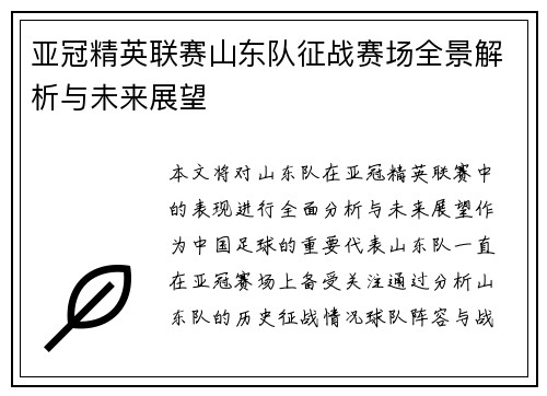 亚冠精英联赛山东队征战赛场全景解析与未来展望